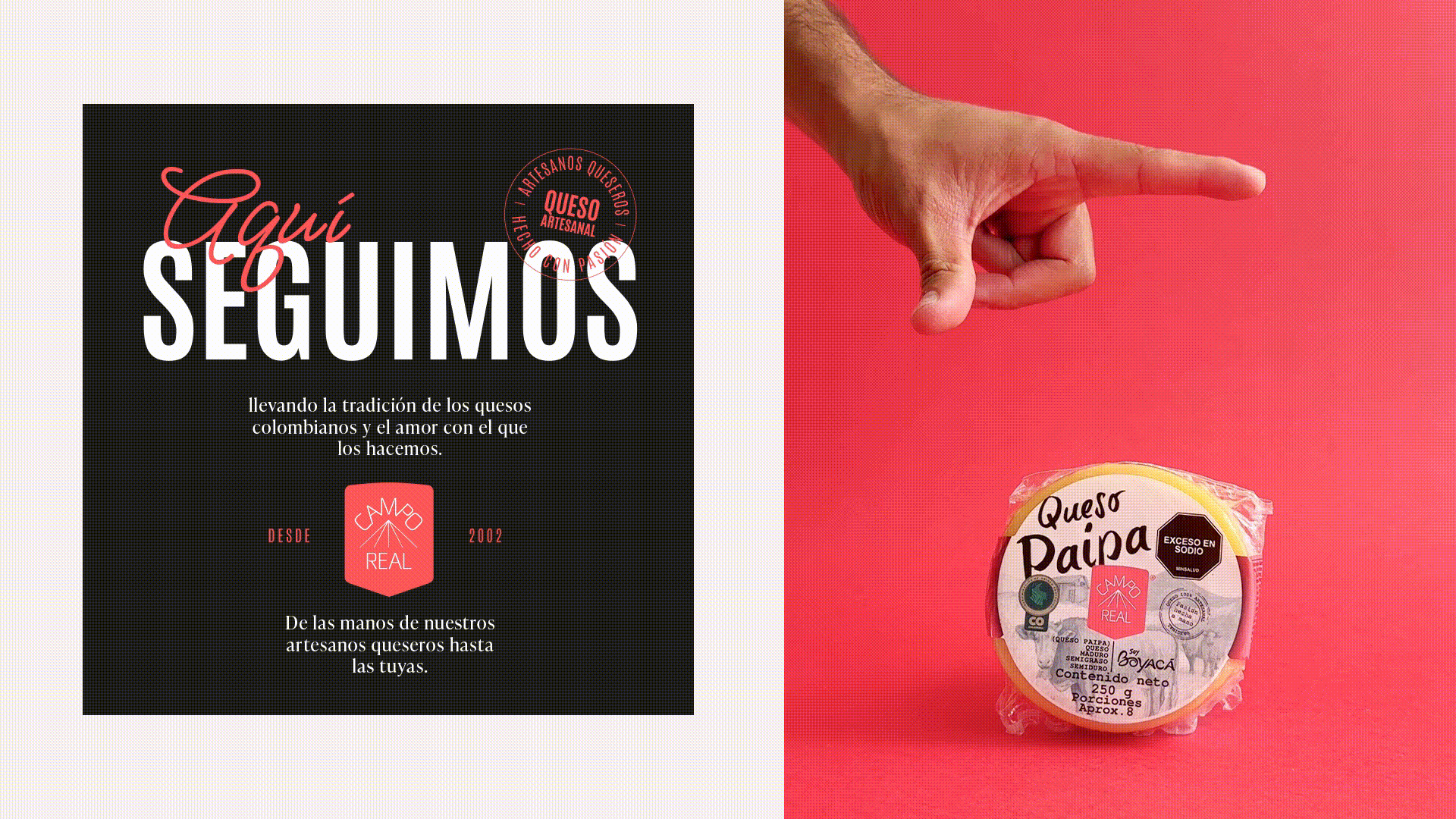 Campo Real – aplicaciones de la campaña en redes sociales