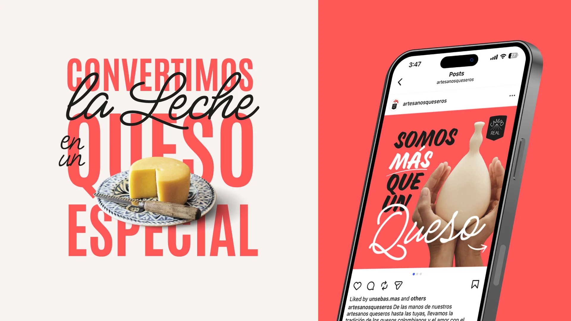 Campo Real – pieza Convertimos la leche en queso especial en celular